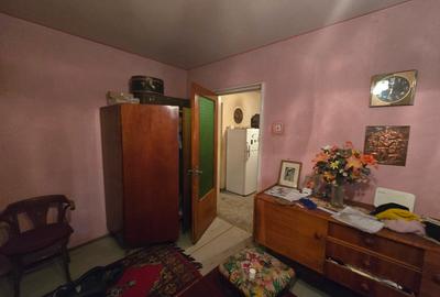 Apartament 3 camere renovabil în Aleea Barajul Bistriței - locație de vis! - 12