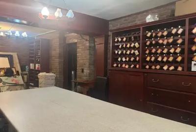 Oportunitate De Vanzare! Vila Exclusivista Unirii - Matei Basarab - 6