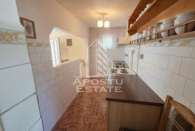 Casă renovată complet, cu garaj și anexe, în Satchinez, Timiș - 6