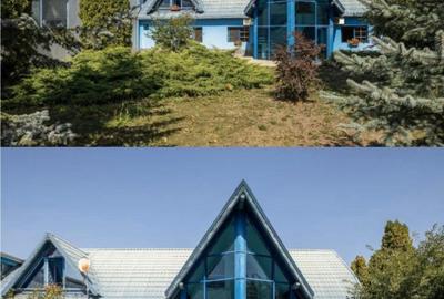 Spațiu industrial, 6.232 mp în Griviței