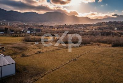 Teren intravilan 4.059 mp – zona Bran | Potential rezidential si turistic - 1