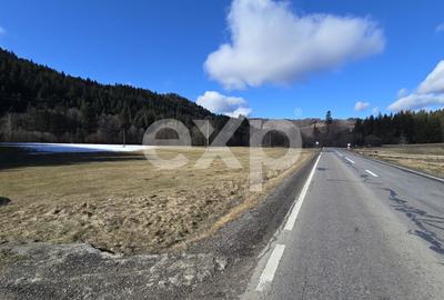 Teren extravilan 19.200 mp – DN1A Săcele, Brădet | Front stradal 130 ml - 4