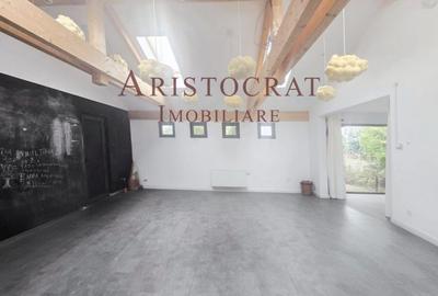Spatii diverse de inchiriat Ostratu - 6