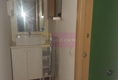 Spatiu Comercial Stradal Șoseaua Colentina zona Teiul Doamnei Suveica - 52