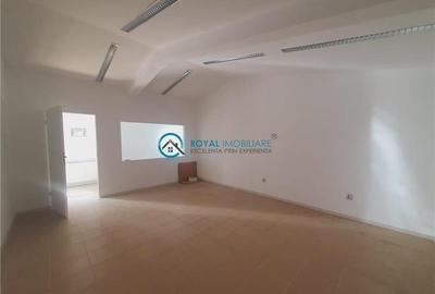 Royal Imobiliare - Inchiriere Spatiu Industrial zona Vest - 11