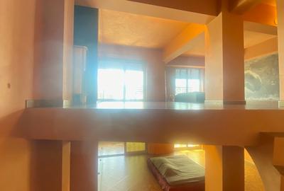 Bd. Unirii 5 camere Loft ! - 3