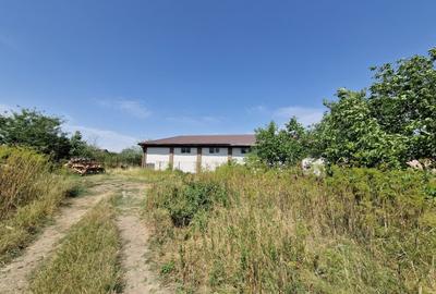 Domnesti - Ciutaci, vanzare 4 loturi de teren intravilan - 18