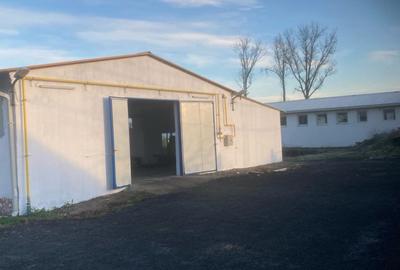 2 Hale industriale din beton, Oras Pecica - 4