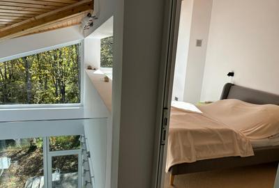 Vand cabana deosebita cu 4 cam. in mijlocul naturii,statiunea Bucin - 6