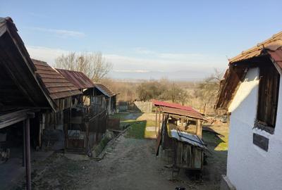 Proprietate rară – 2 case + livadă, vie și teren generos, la 20 km de Târgu Jiu - 4