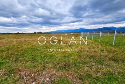 SUPER OFERTA! Teren  1000 mp, Vl. Avrigului SIBIU - 10