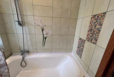 Cismigiu, 2 dormitoare cu hol locuibil, 2 balc, centrala proprie, bloc solid - 14