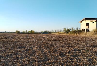 Teren Construcții intravilan de 5000 mp, în Ciolpani