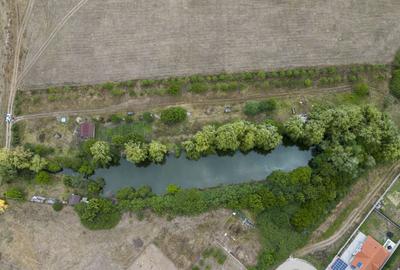 Teren de 7900 mp cu baltă de pescuit în Frumușeni - 9