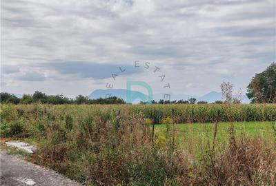 Teren intravilan, Prejmer, Brasov, - 8