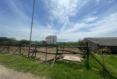 Teren de vanzare zona CAP- Tulcea - 10