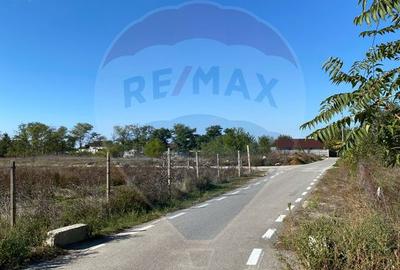 Teren 2,500mp Malu Mare / Strada Bisericii - 6