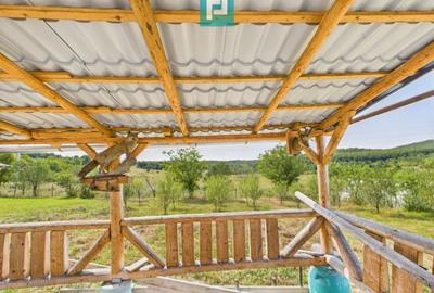 Casă renovată cu teren generos lângă Ususău - 13
