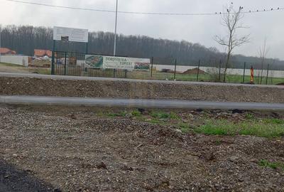 Vila De Vanzare |4 Camere| 2800mp Teren| Iesire la Padure*Tur Virtual* - 23