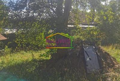 Casa P S cu teren ultracentral in Breaza - vis-a-vis de Liceul Militar - 25