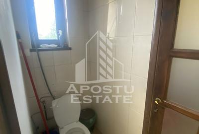 Casa în Dumbrăvița cu teren de 3039 mp și Front Stradal de 40 ml - 2