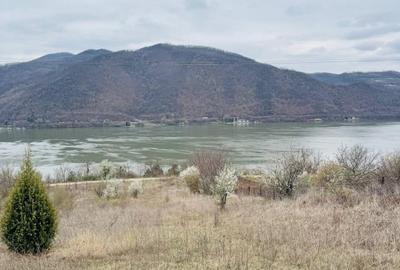 AV644 Teren intravilan, BERZASCA-DUNARE, 6042mp, posibilitate investitie turism - 9