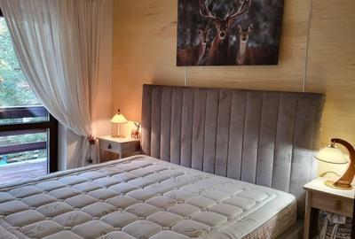Vila de vanzare in Predeal !!! Zona Cioplea !!! - 4