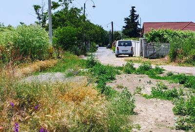 Intravilan 420m2 pe partea dreaptă - 5