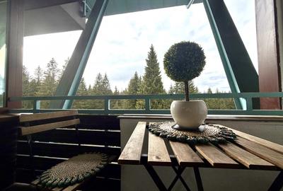 Apartament 2 camere de vanzare in Silver Mountain | Poiana Brasov - 20