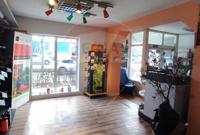 CASĂ DE VÂNZARE cu spatiu comercial in Baia Mare - 8