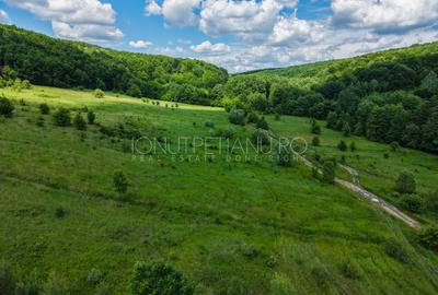 Teren Pasune + Arabil - Valea Mare Podgoria Arges - 6