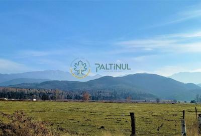 Teren intravilan, 1000 mp cu PUZ - locatie deosebita, Sibiu - Valea Avrigului - 1