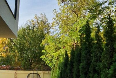 Vila 10 camere | Piscina | Jandarmeriei | Sisesti | Baneasa - 17