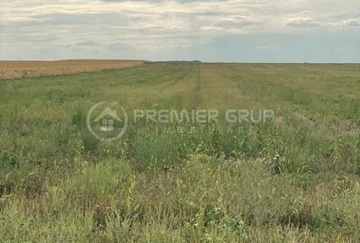 Teren extravilan 7.200mp, Bogdanesti-Horlesti, deschidere la 2 drumuri - 4