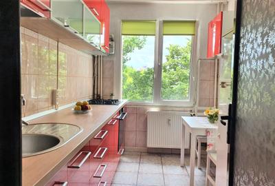Apartament 2 Camere semidec - Baba Novac / Campia Libertatii - statuie Cuza - 3