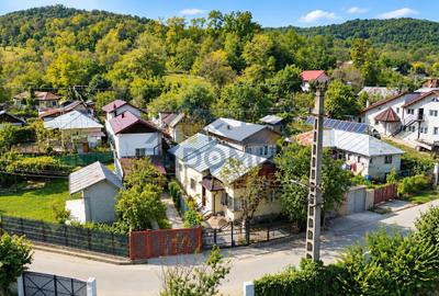 Casă cu 3 camere, anexe și livadă – Lopatnița, Șoimari - 3