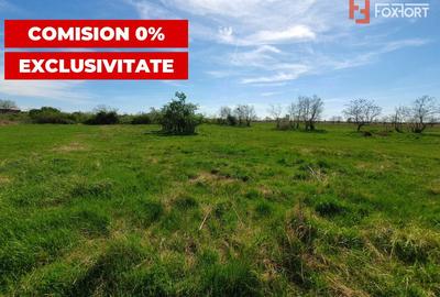 Comision 0% Teren intravilan 3000 mp in Padureni Jebel - 4