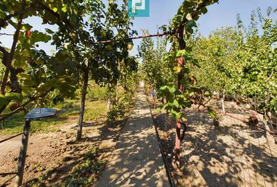 Casă cu teren de 1246 mp în Pârneava - 13