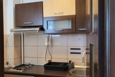 Dristor, garsoniera langa Kaufland, 5 minute metrou, PET FRIENDLY - 13