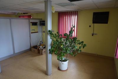 Parcul Carol - Rond Cosbuc, trei imobile, singur curte, liber - 8