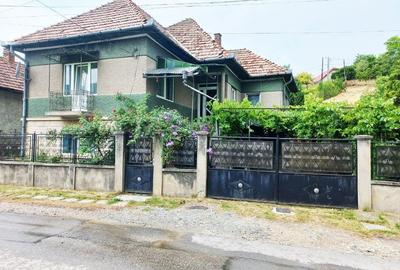 0% Comision! Casa P+E, teren 1681 mp, 2 fronturi, la asfalt, in Suceag - 1