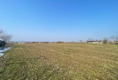 Teren pretabil Investitie in Comuna Daieni Bratul Macin Dunarea Veche Ostrov - 8