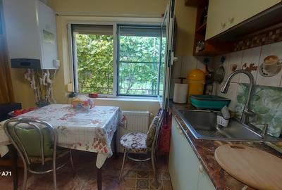 Snagov- Gruiu- Santul Floresti -Proprietate cu stil pentru oameni gospodari! - 28