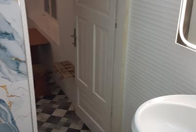 Casa singur in curte in Apoldu de Jos , la 35 km de Sibiu! - 20