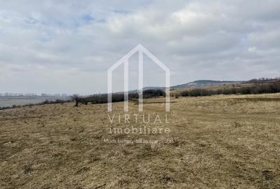 Teren de vanzare in Sibiu 67.500 mp, extravilan, Dealul Daii - 5