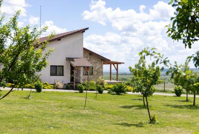 PROPRIETATE CU LIVADA MATURA DE NUCI SI POTENTIAL INVESTITIONAL - 85