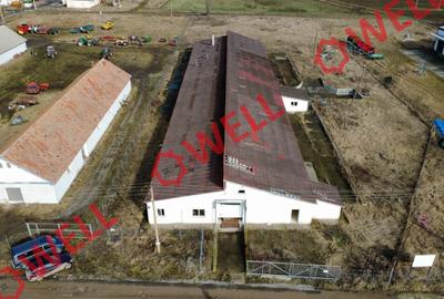 Clădire industrială de vânzare pe DN12! - 2