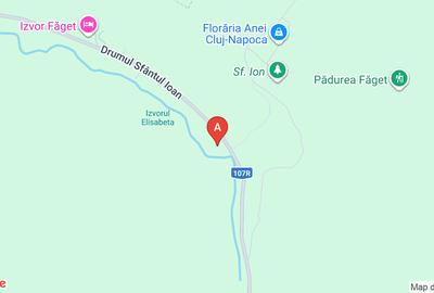 Teren pe malul pârâului printre copaci - 1