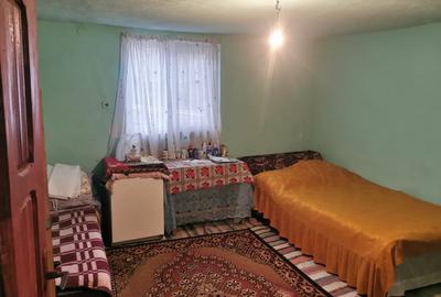 De vanzare casa in Argetoaia cu teren 7.000 mp - 10