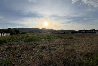 Teren intravilan | 4088 MP | MICEȘTI | TOATE UTILITĂȚILE | OPORTUNITATE - 1